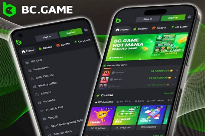 The Ultimate Guide to BC.Game Online Casino 885860208